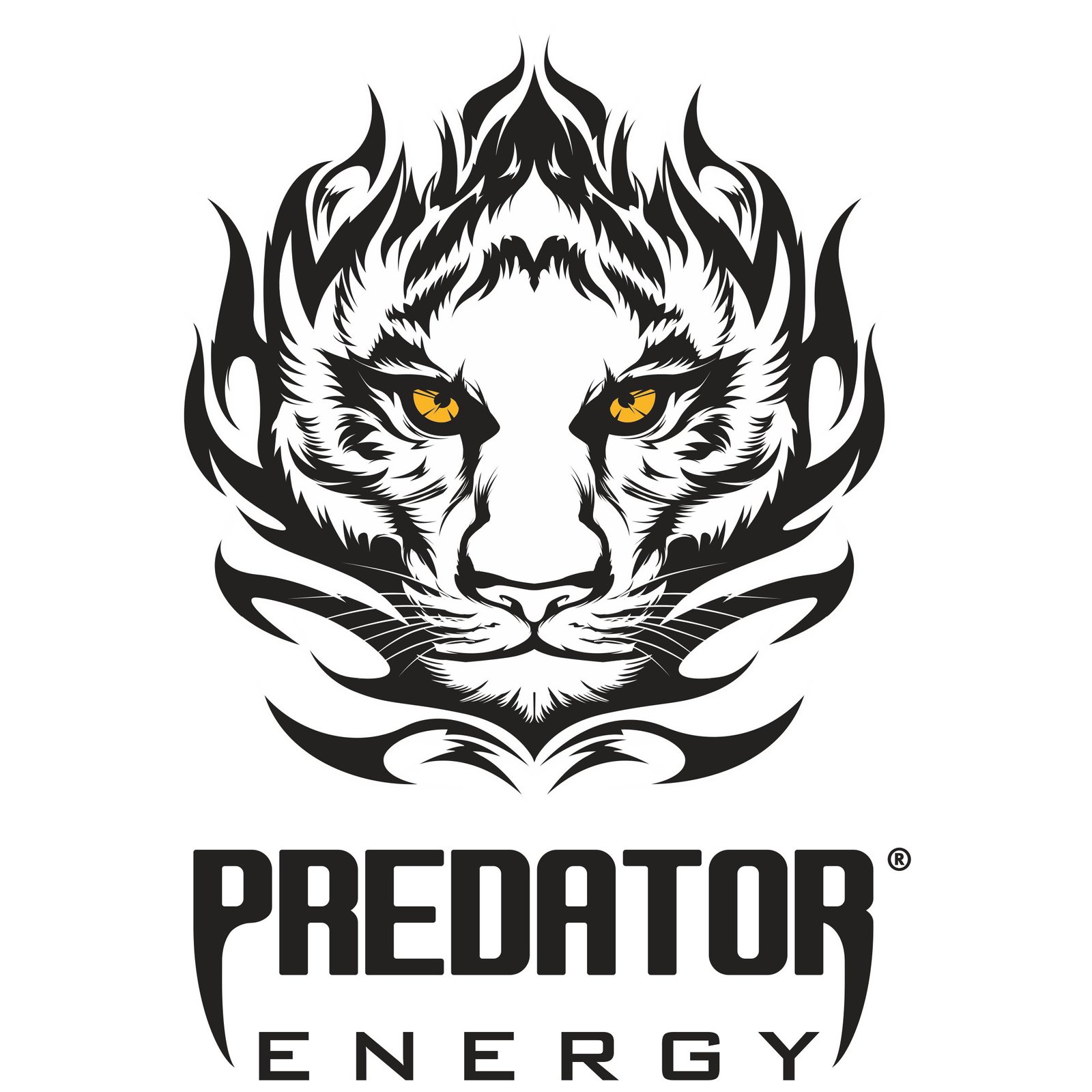 Energy Drink Partner